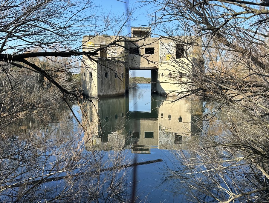 romitorio di giovanni torlonia restoration proposal